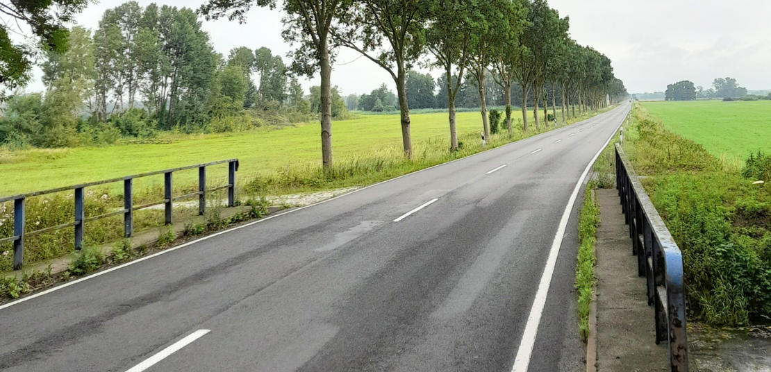 Schulungen zum Alleenerlass:  dekorativ