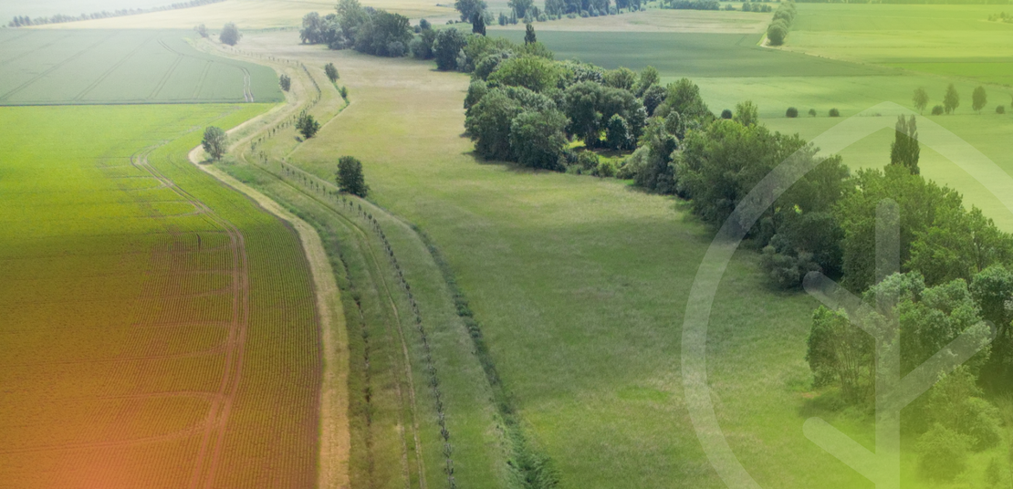 Unsere Bäume - Wegbegleiter von hier nach überall Foto zeigt das grüne Band - das 343 km lange Naturschutzgebiet entlang der ehemaligen innerdeutschen Grenze.